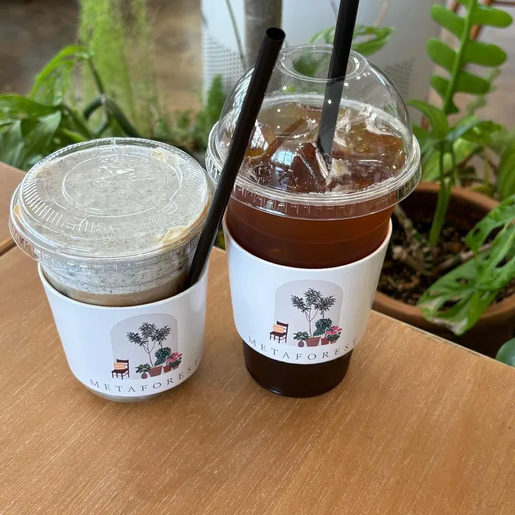 메타포레스트 사진