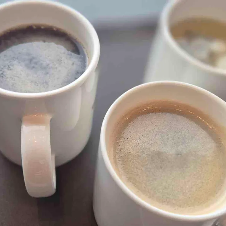 카페 오라 사진