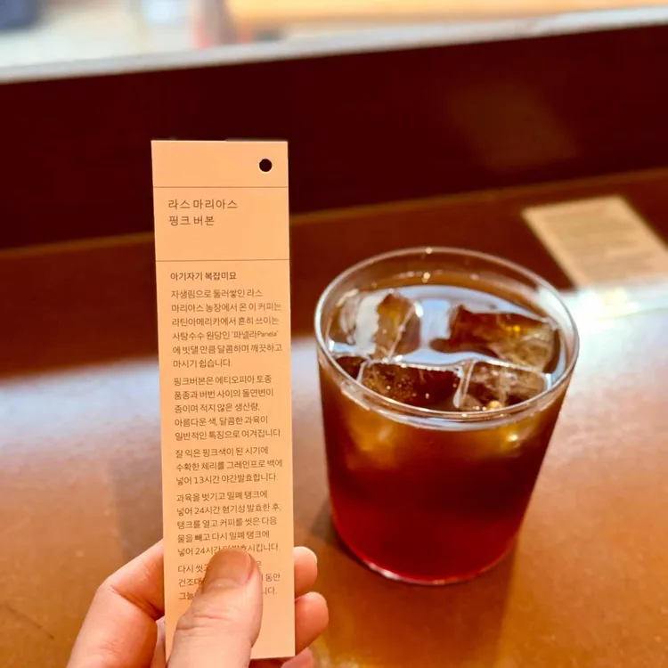 나무사이로 사진