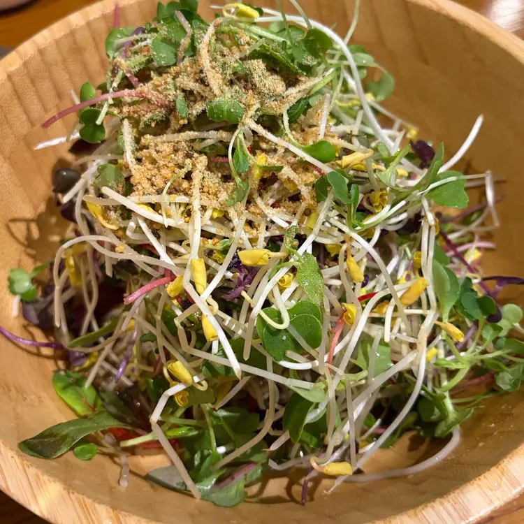 잘빠진메밀 사진