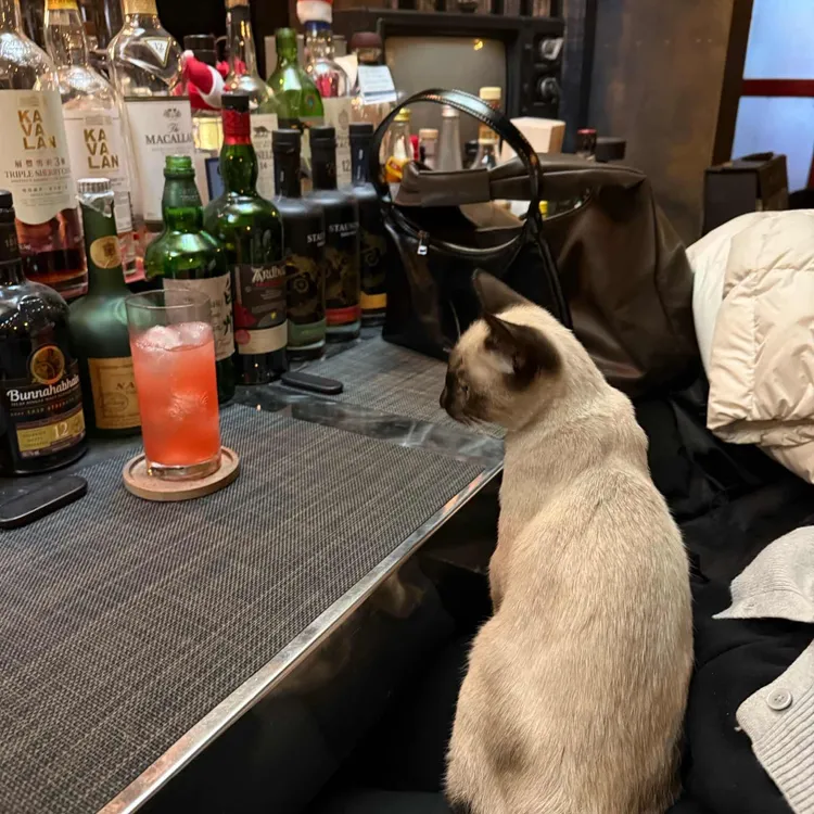 삼일다방 대표 사진