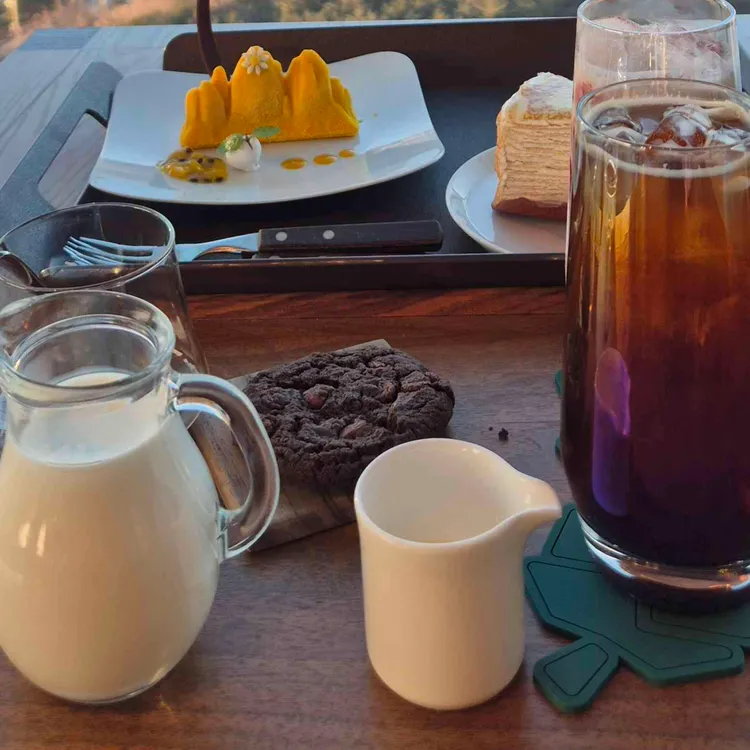 소노펠리체 델피노 더엠브로시아 사진