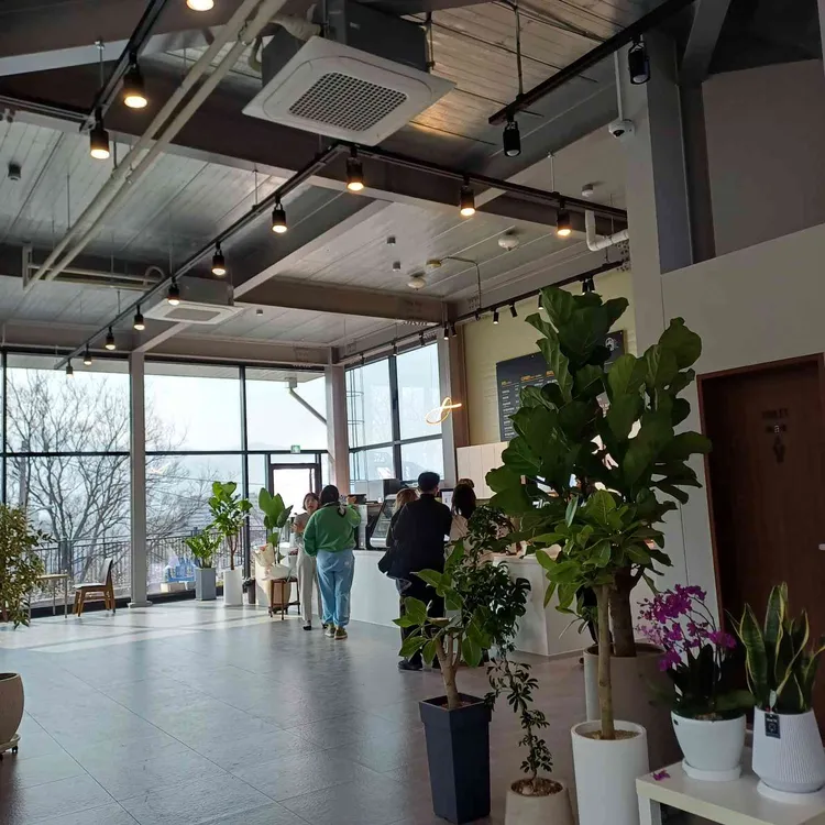 이른,봄 대표 사진