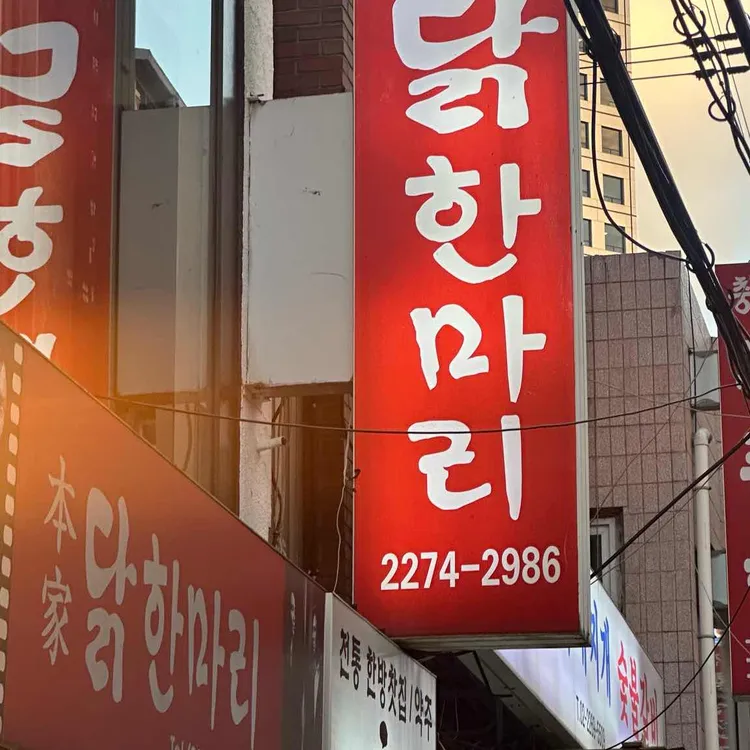 본가 닭한마리 사진