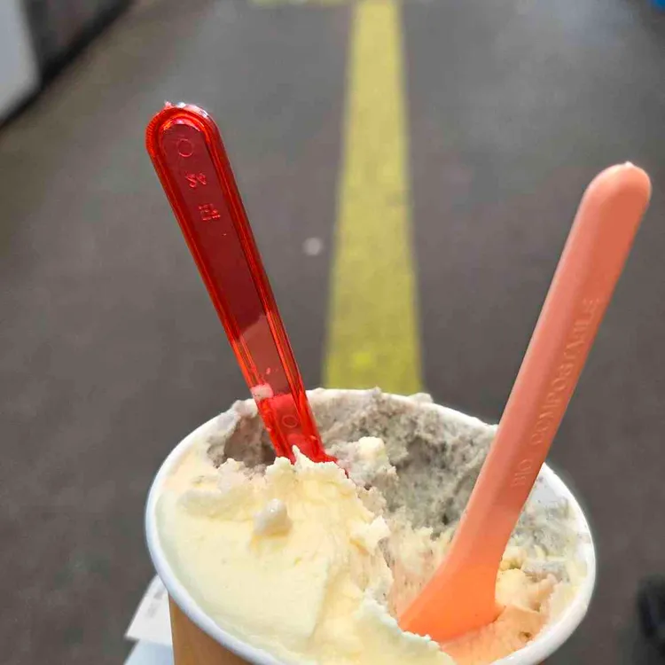 아로카 사진