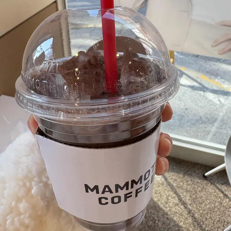 매머드익스프레스 대표 사진