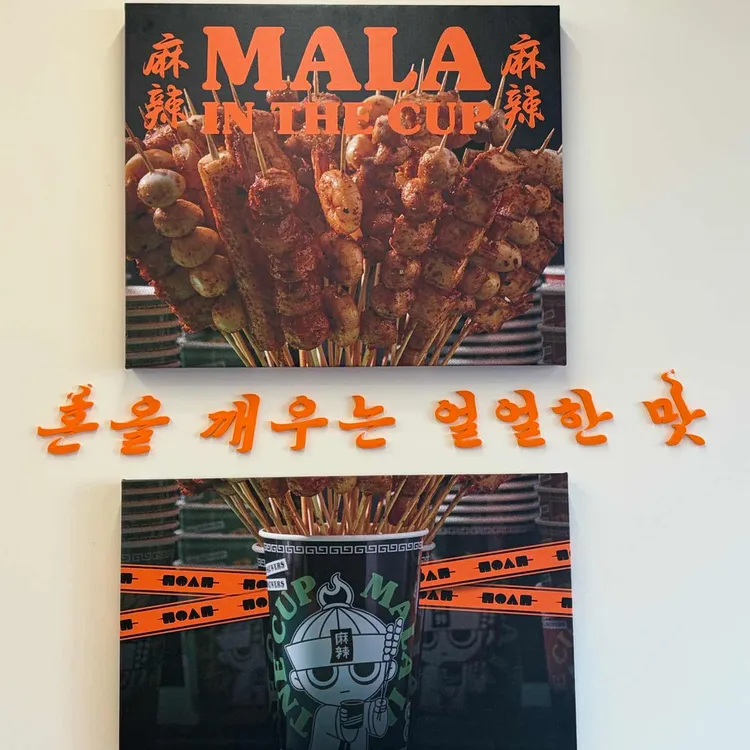 마라인더컵 대표 사진