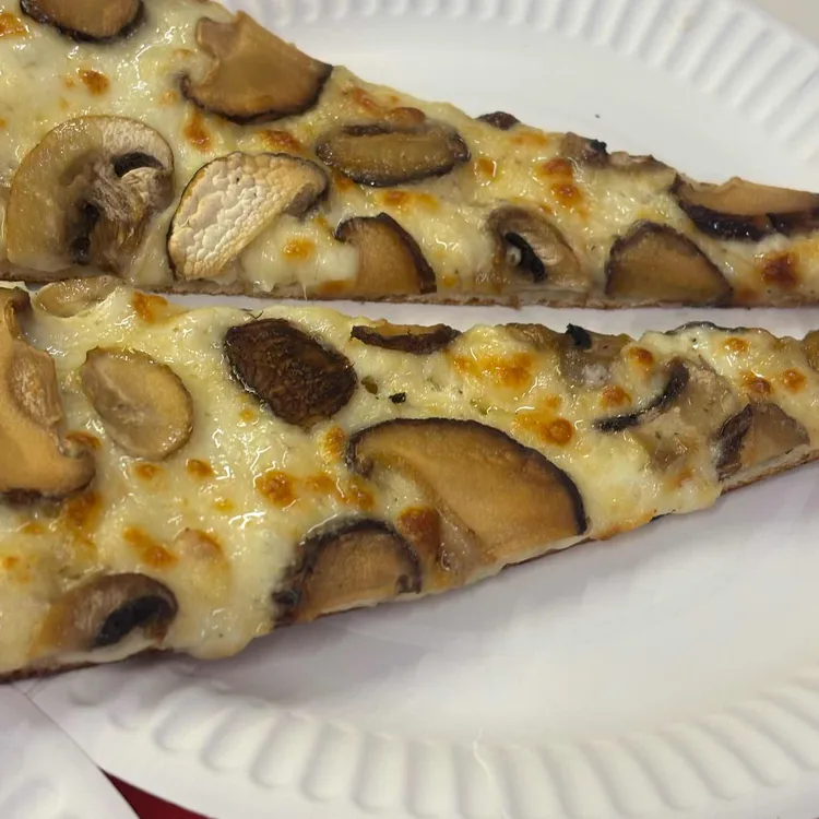 페이퍼 플레이트 사진