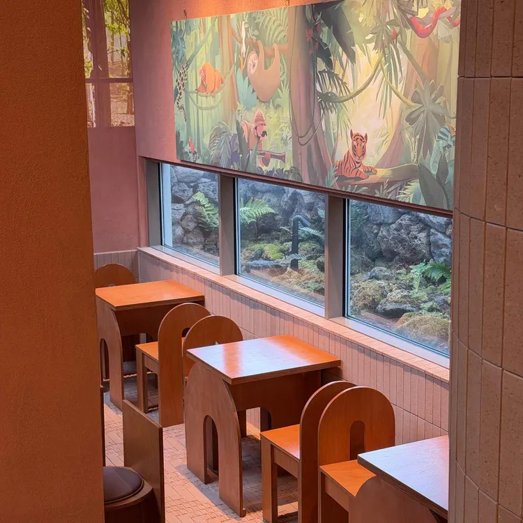 브리나케오슈 대표 사진