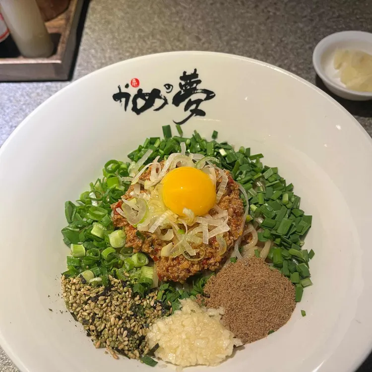 거북이의꿈 사진