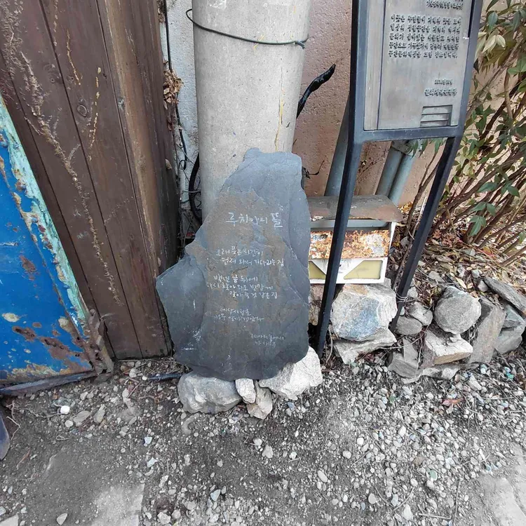 루치아의뜰 사진