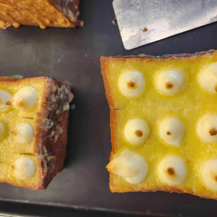 마고플레인 사진