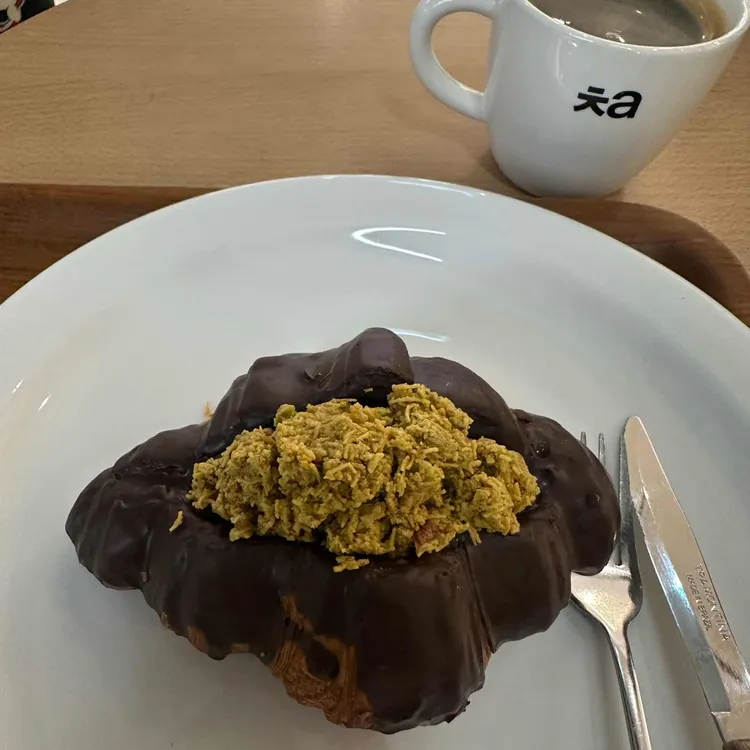 노우즈 고양 사진