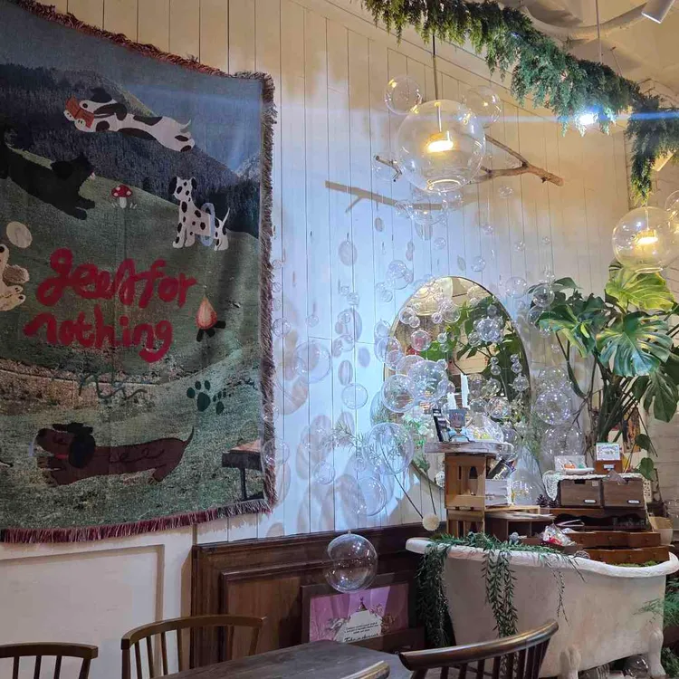 버블룸 대표 사진