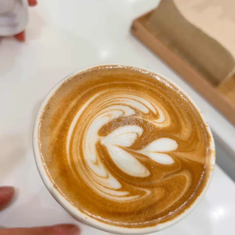 % 아라비카 사진