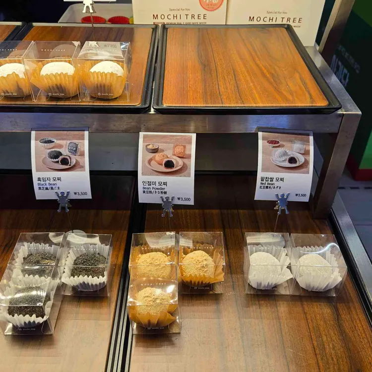 모찌트리 대표 사진