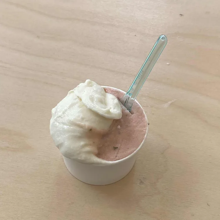 이오이트 대표 사진