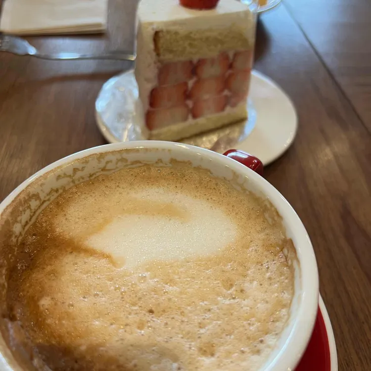 미스틱래빗 사진