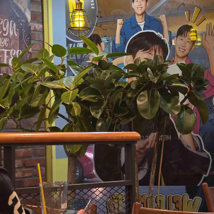 메가엠지씨커피 대표 사진