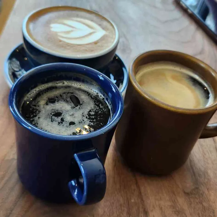 카페 정원 사진