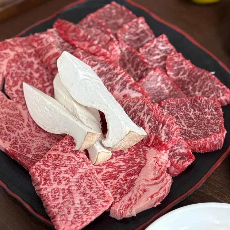 송하원 대표 사진