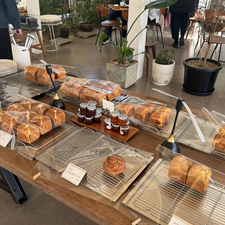 모모다인 오픈하우스 사진