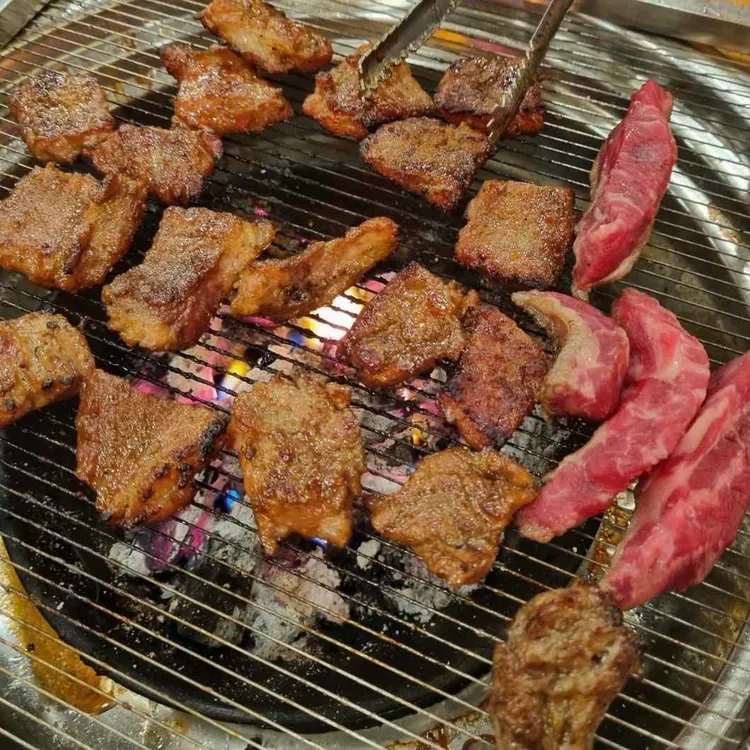 은행나무갈매기 대표 사진