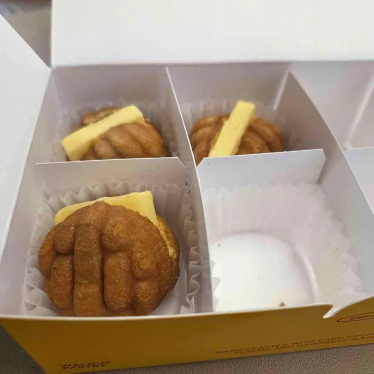 코코호도 대표 사진