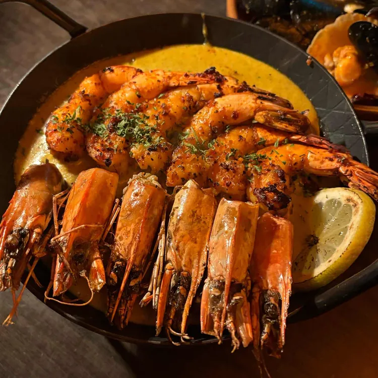 멕시타이거 사진