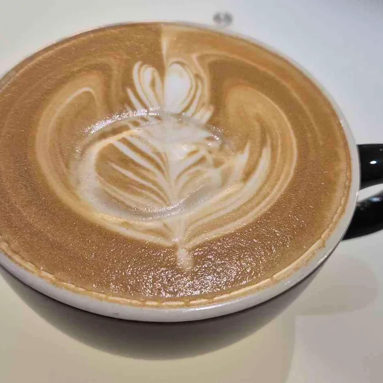 온더플랜커피랩 사진