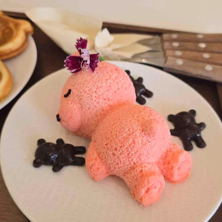 떰즈업 대표 사진