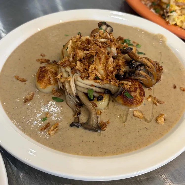 카키스클럽 대표 사진