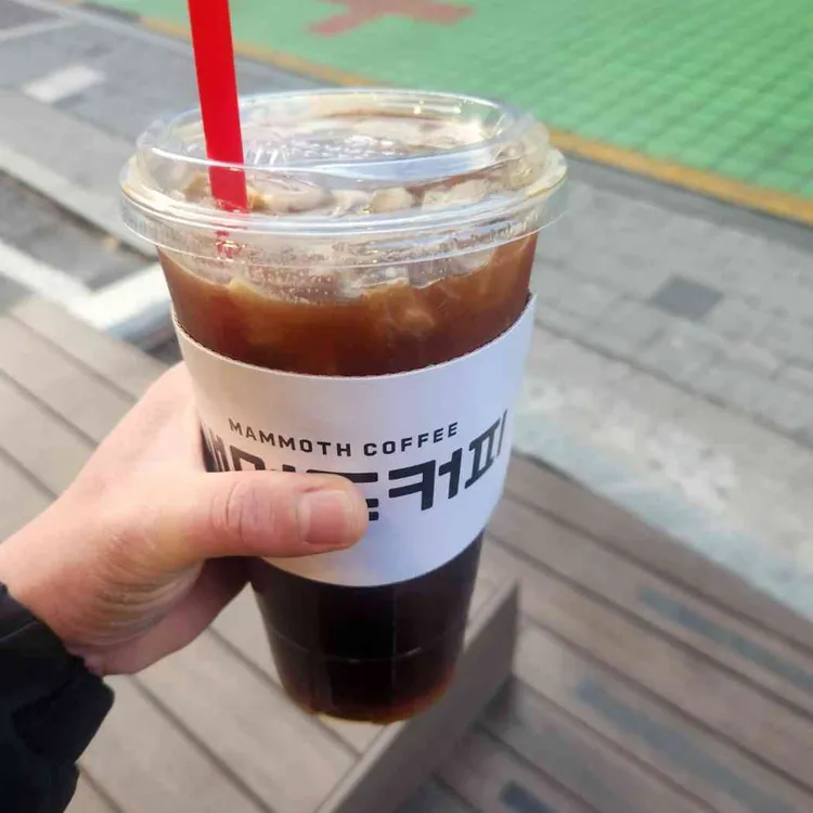 매머드익스프레스 대표 사진