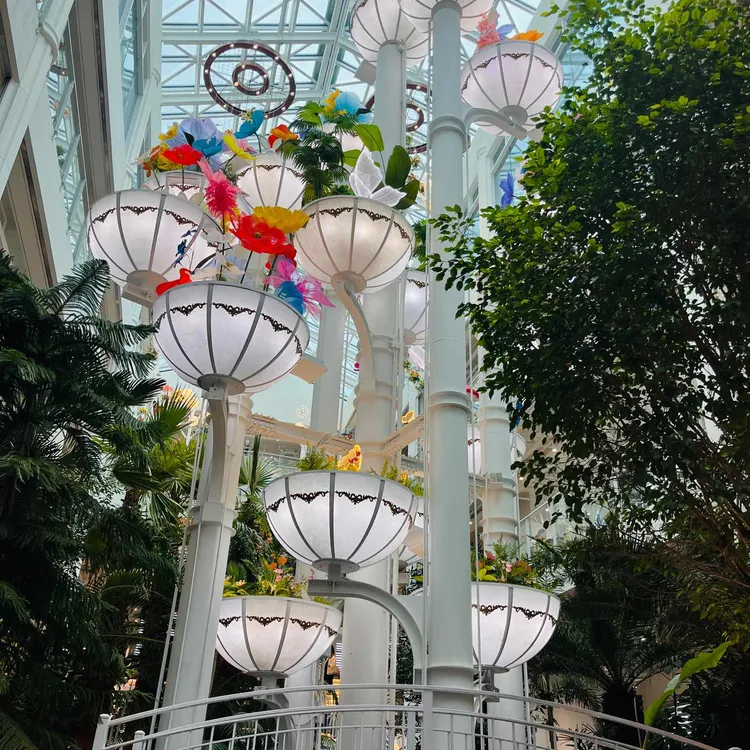 포레스트아웃팅스 사진