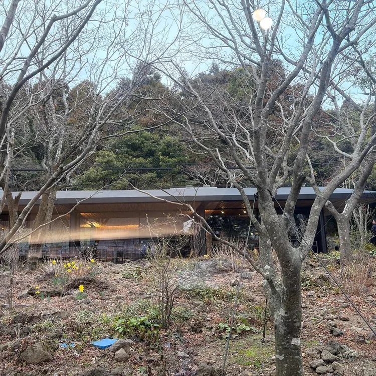 오설록 티 뮤지엄 사진