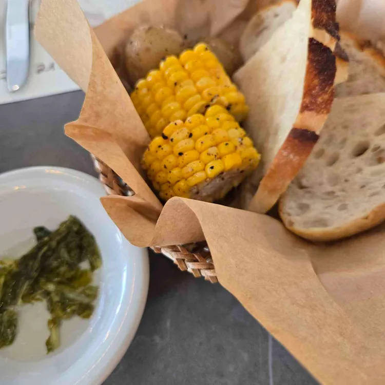 라토피아 대표 사진