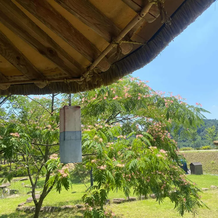 삼강주막 대표 사진