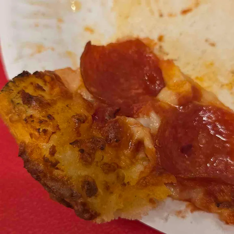 페이퍼 플레이트 사진