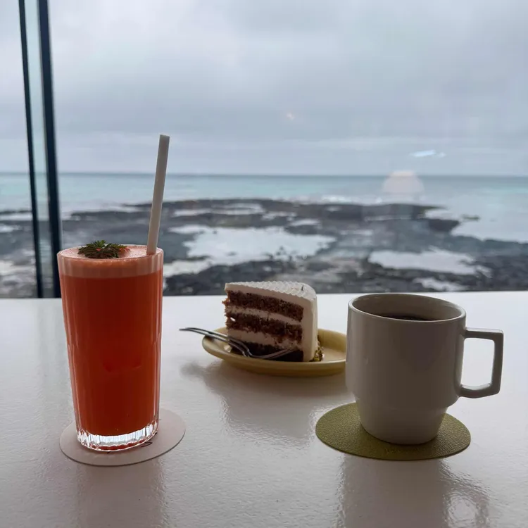 비수기애호가 사진