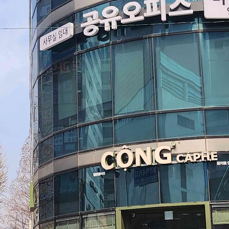 콩카페 사진