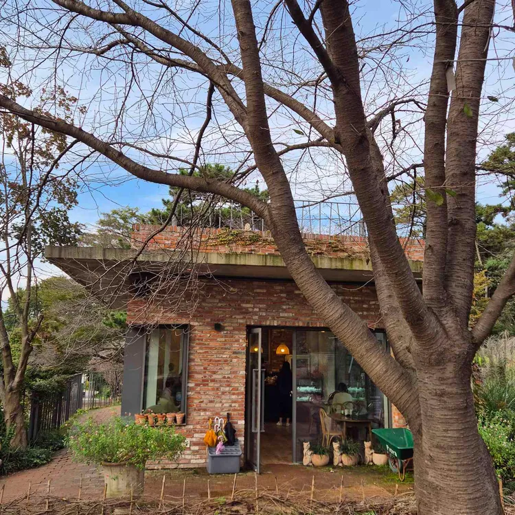 카페 피어라 사진