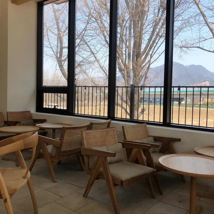 뿌리깊은나무 대표 사진