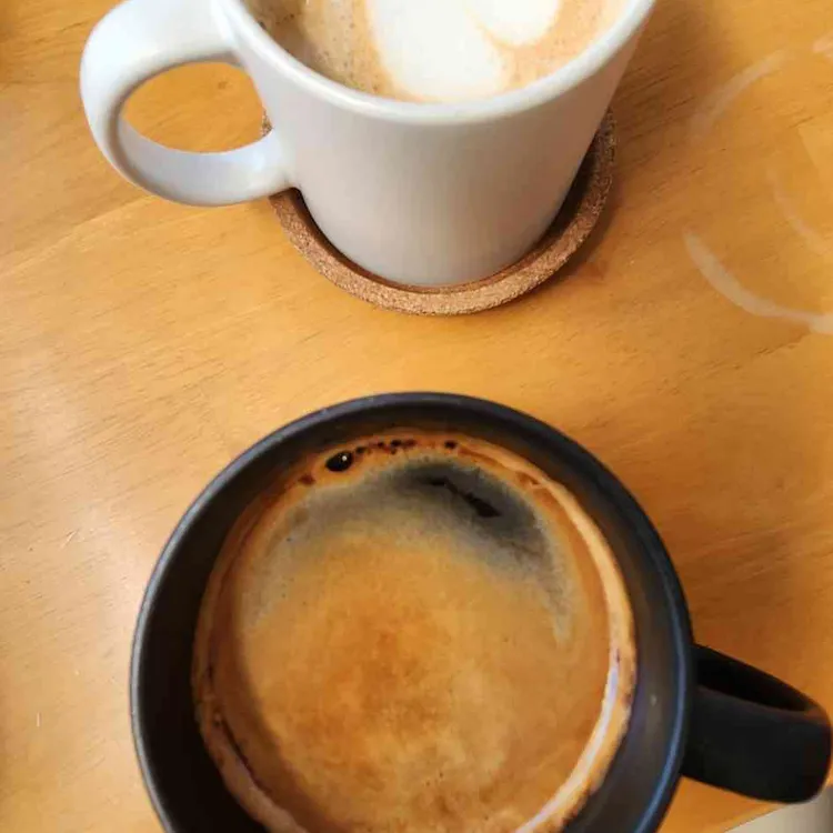 샌더소니아 대표 사진