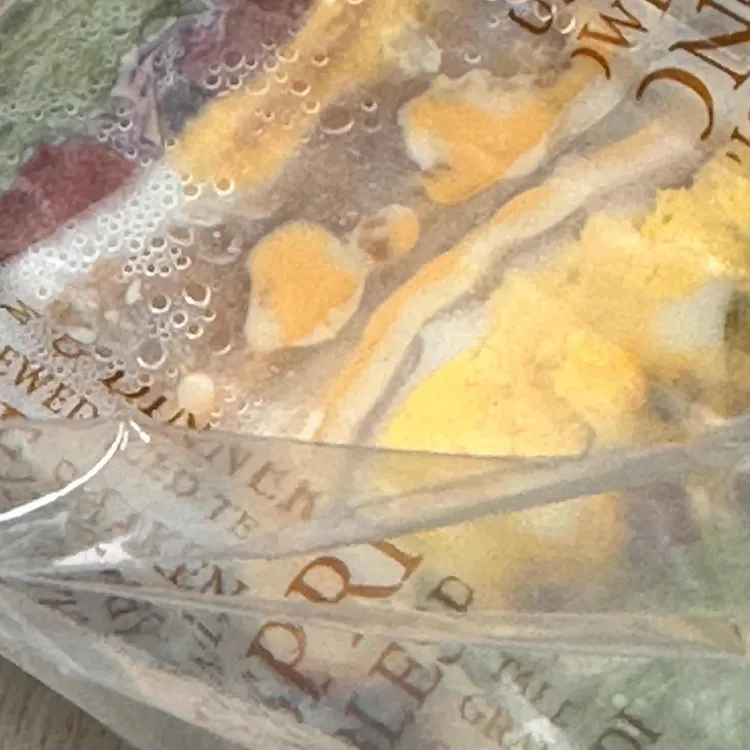 도토리 대표 사진