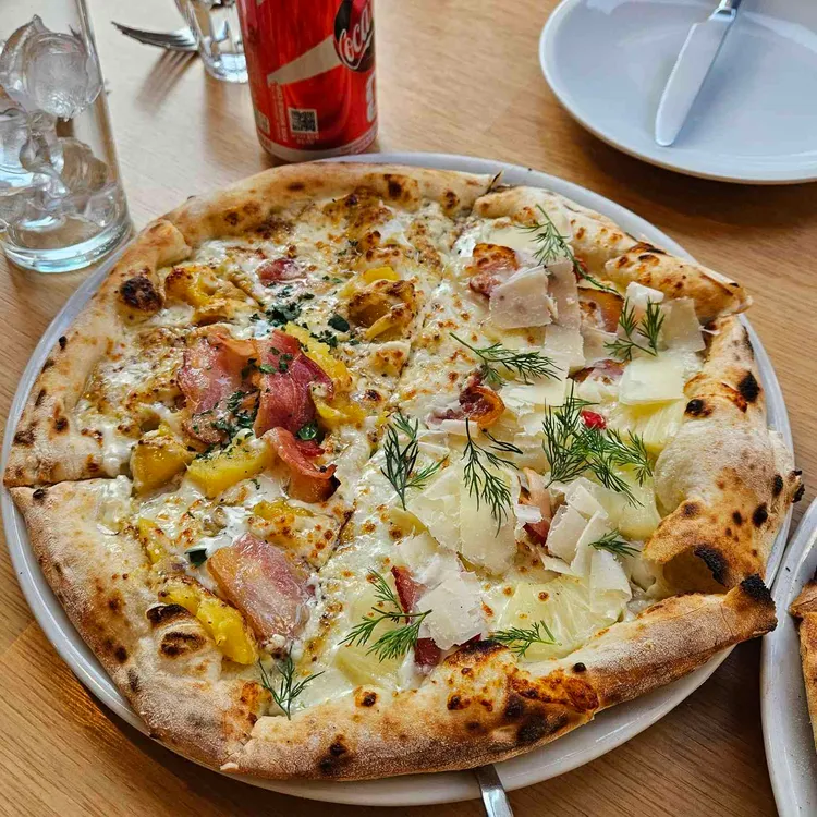 도우큐먼트 사진