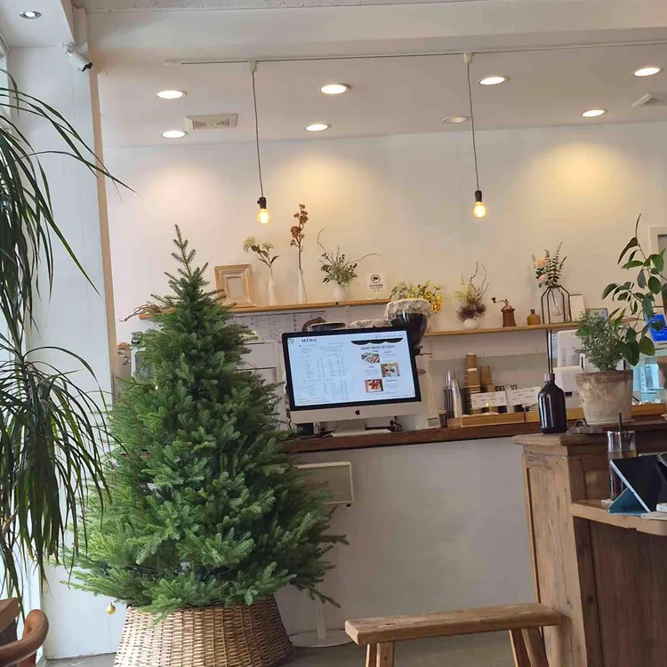 플랜츠 대표 사진