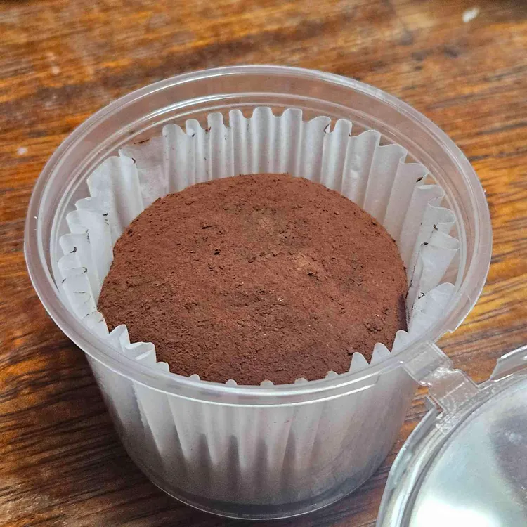 카페린 대표 사진