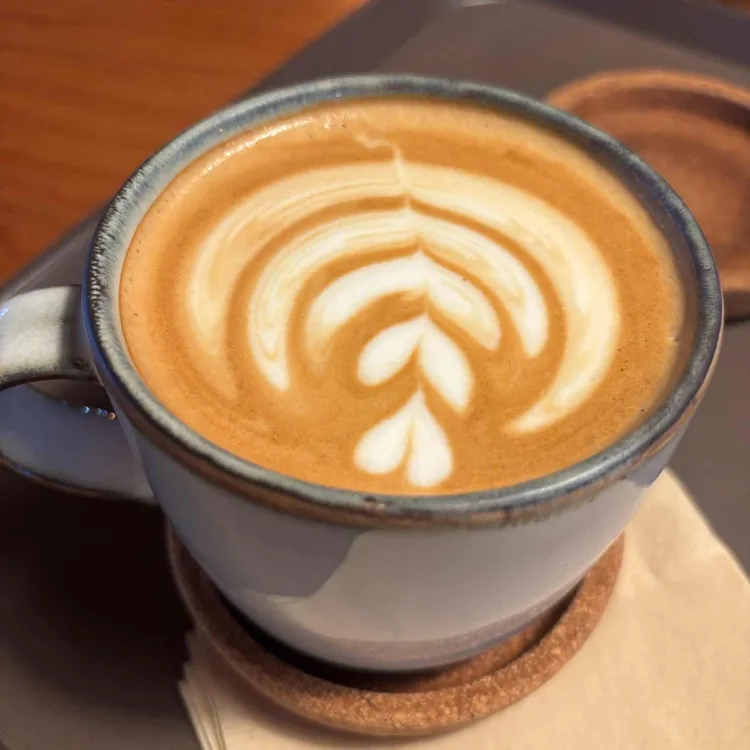 까멜리아 인 구룡포 사진