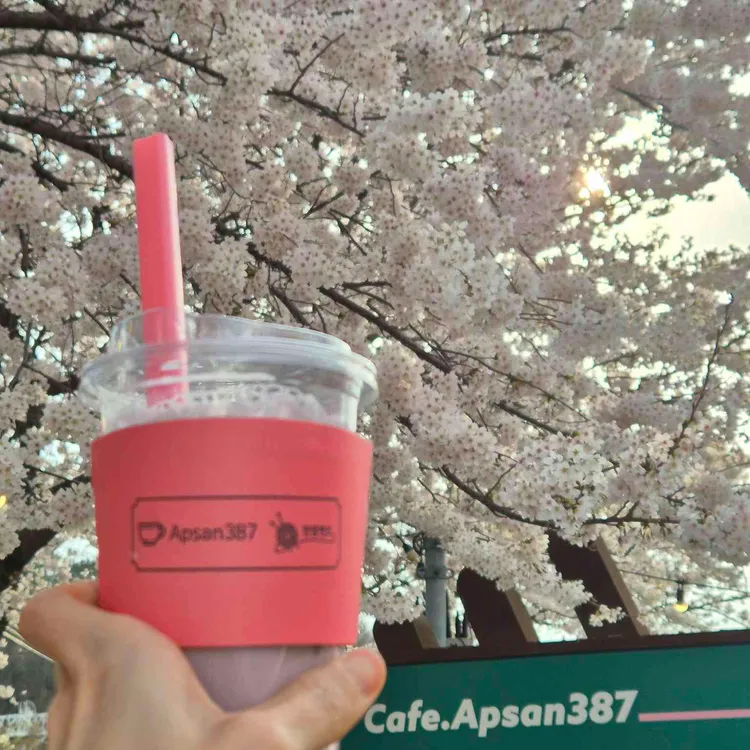 앞산387 대표 사진