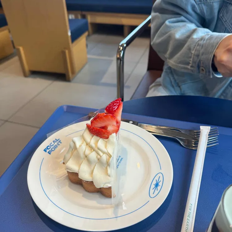 포컬포인트 사진